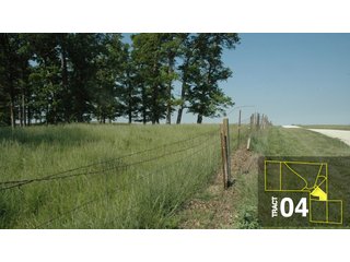 Property photo 19 - Land Auction 458+/- acres in 11 Tracts - Farmland, Woods